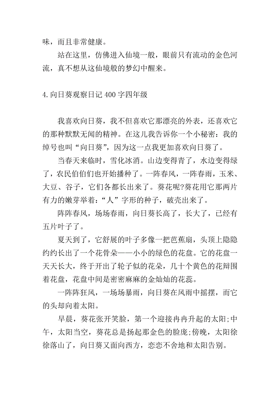 向日葵观察日记400字四年级.doc_第4页