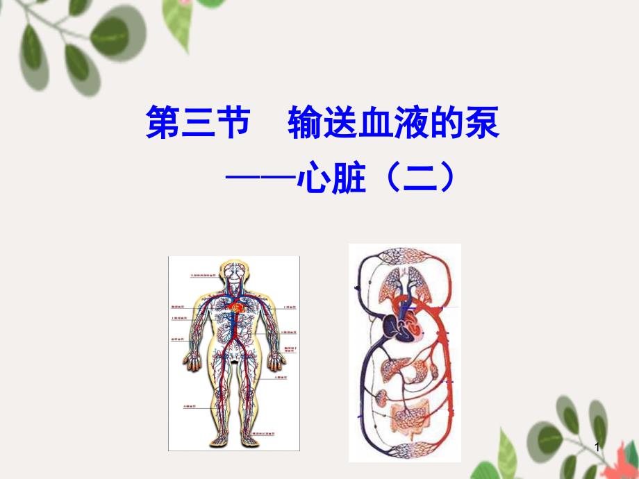 七年级生物下册4.4.3输送血液的泵心脏课件七年级生物下册4.4.3输送血液的泵心脏课件素材新版新人教版2_第1页