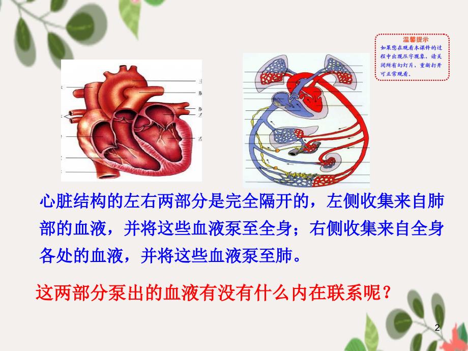 七年级生物下册4.4.3输送血液的泵心脏课件七年级生物下册4.4.3输送血液的泵心脏课件素材新版新人教版2_第2页