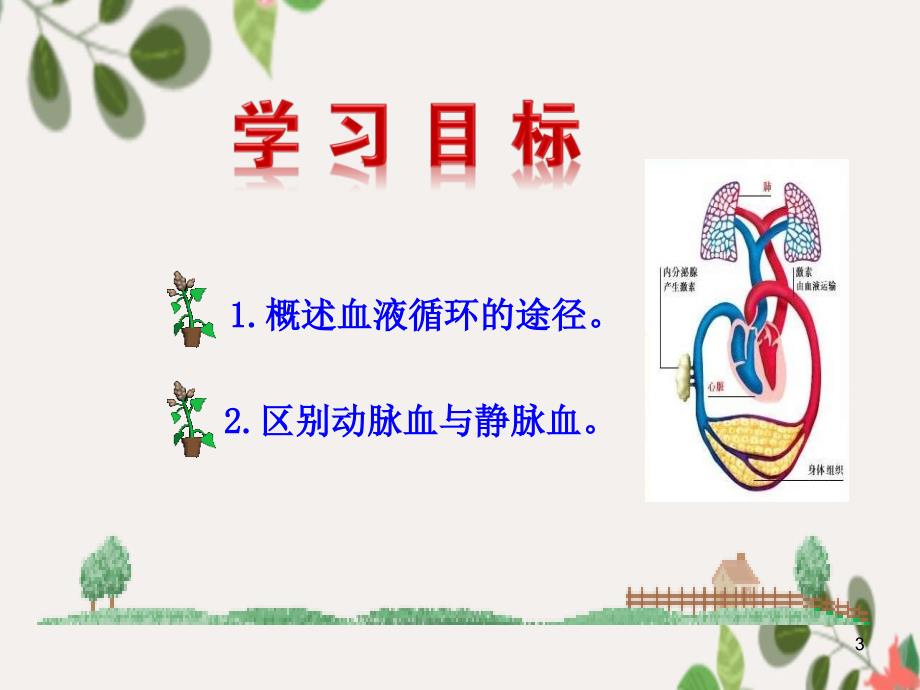 七年级生物下册4.4.3输送血液的泵心脏课件七年级生物下册4.4.3输送血液的泵心脏课件素材新版新人教版2_第3页