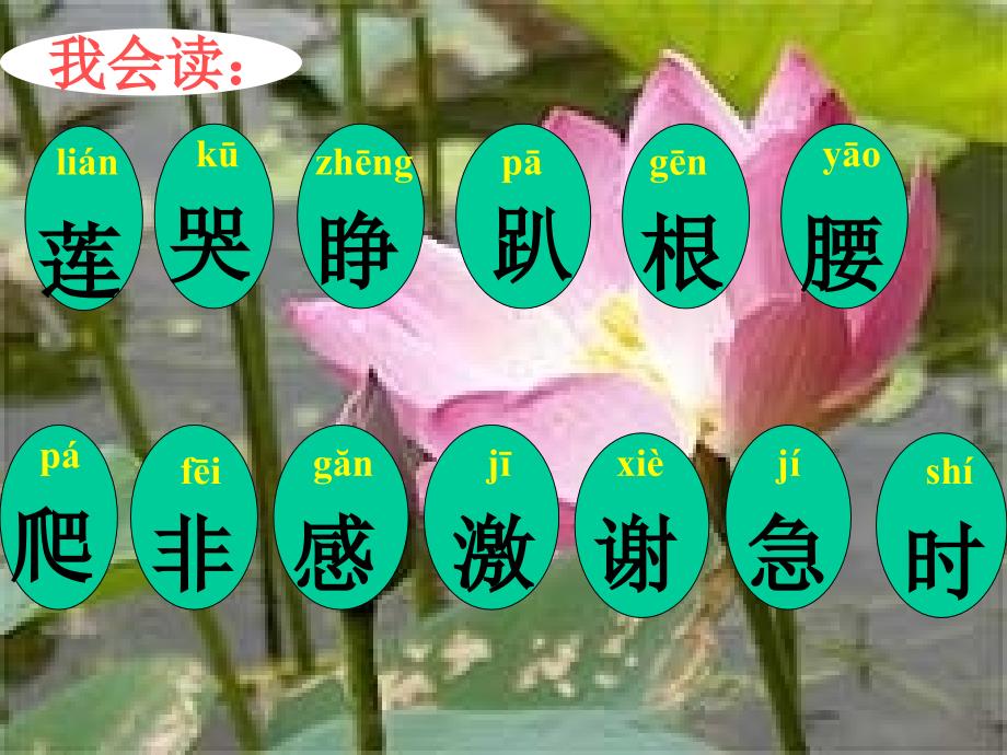 15夏夜多美 (2)_第4页