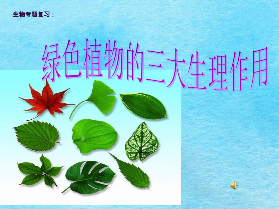 绿色植物的三大生理作用专题ppt课件_第1页