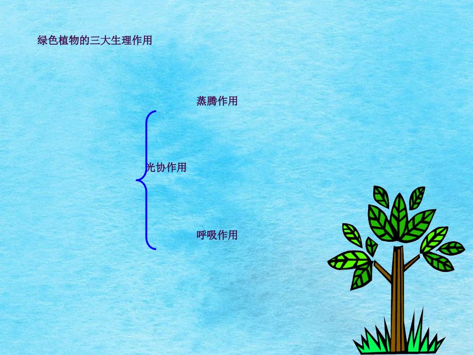 绿色植物的三大生理作用专题ppt课件_第3页