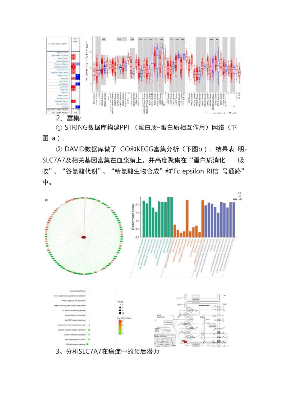 50天接收的4分+单基因单癌种分析_第3页