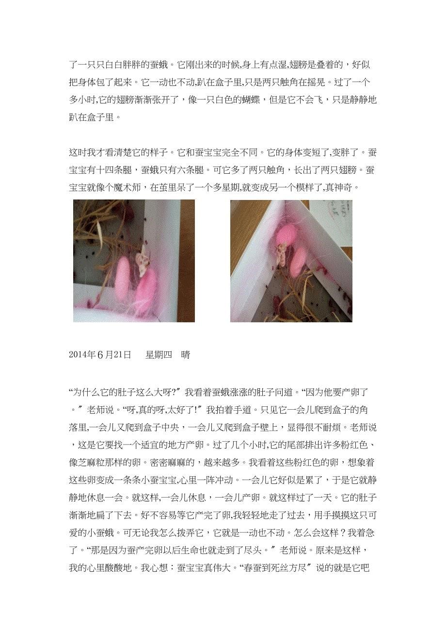 七彩之梦彩色蚕宝宝观察日记_第5页