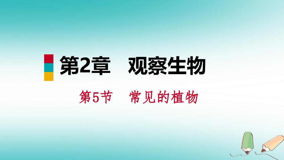 七年级科学上册 第2章 观察生物 第5节 常见的植物 2.5.2 孢子植物和植物的分类 （新版）浙教版_第1页