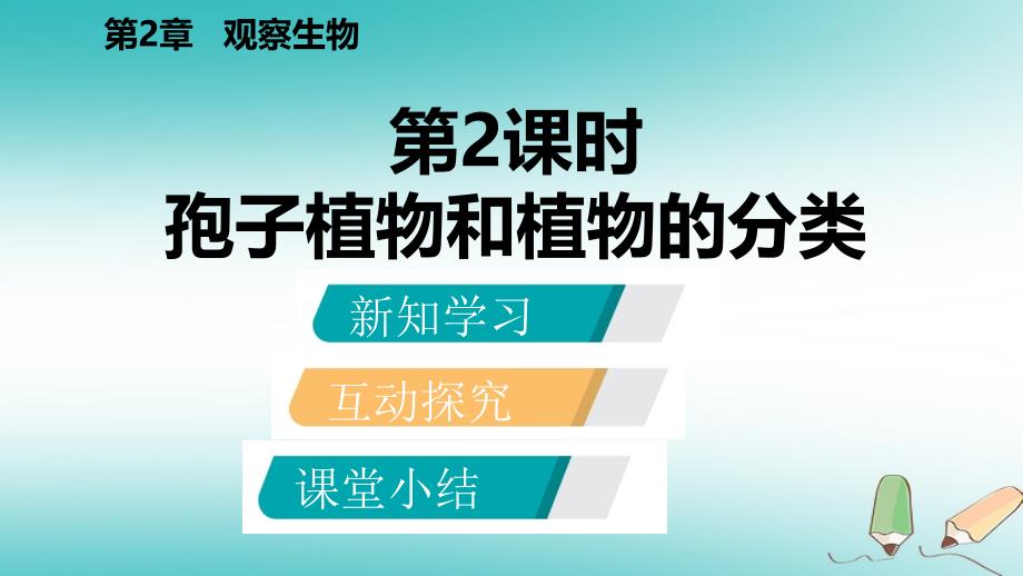 七年级科学上册 第2章 观察生物 第5节 常见的植物 2.5.2 孢子植物和植物的分类 （新版）浙教版_第2页