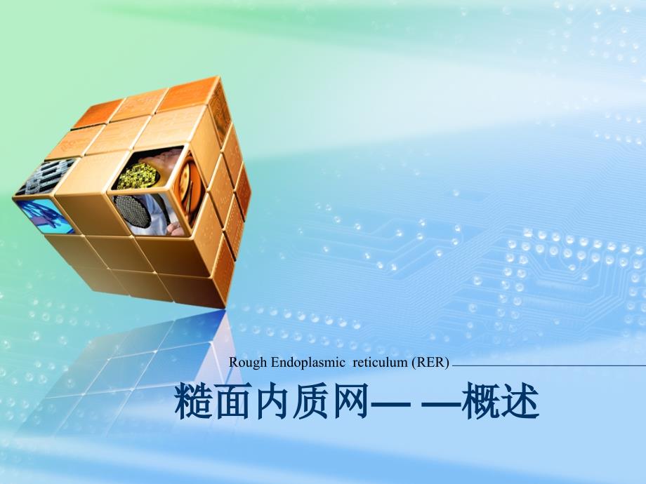 细胞生物学：糙面内质网— —概述_第1页