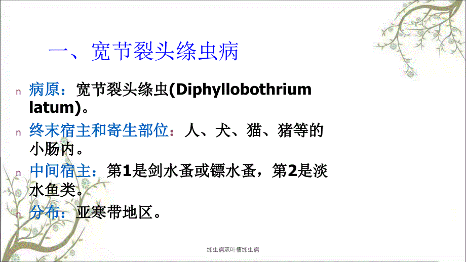 绦虫病双叶槽绦虫病_第2页