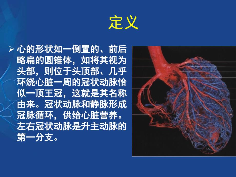 冠状动脉的解剖与冠脉造影_第2页