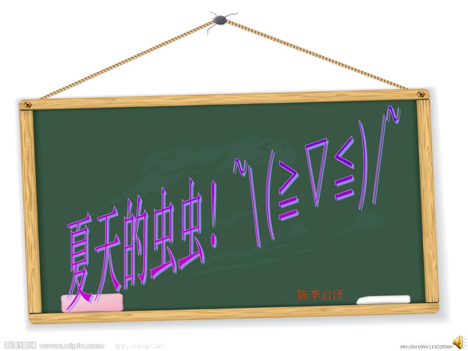 夏天的虫虫【图片】_第1页