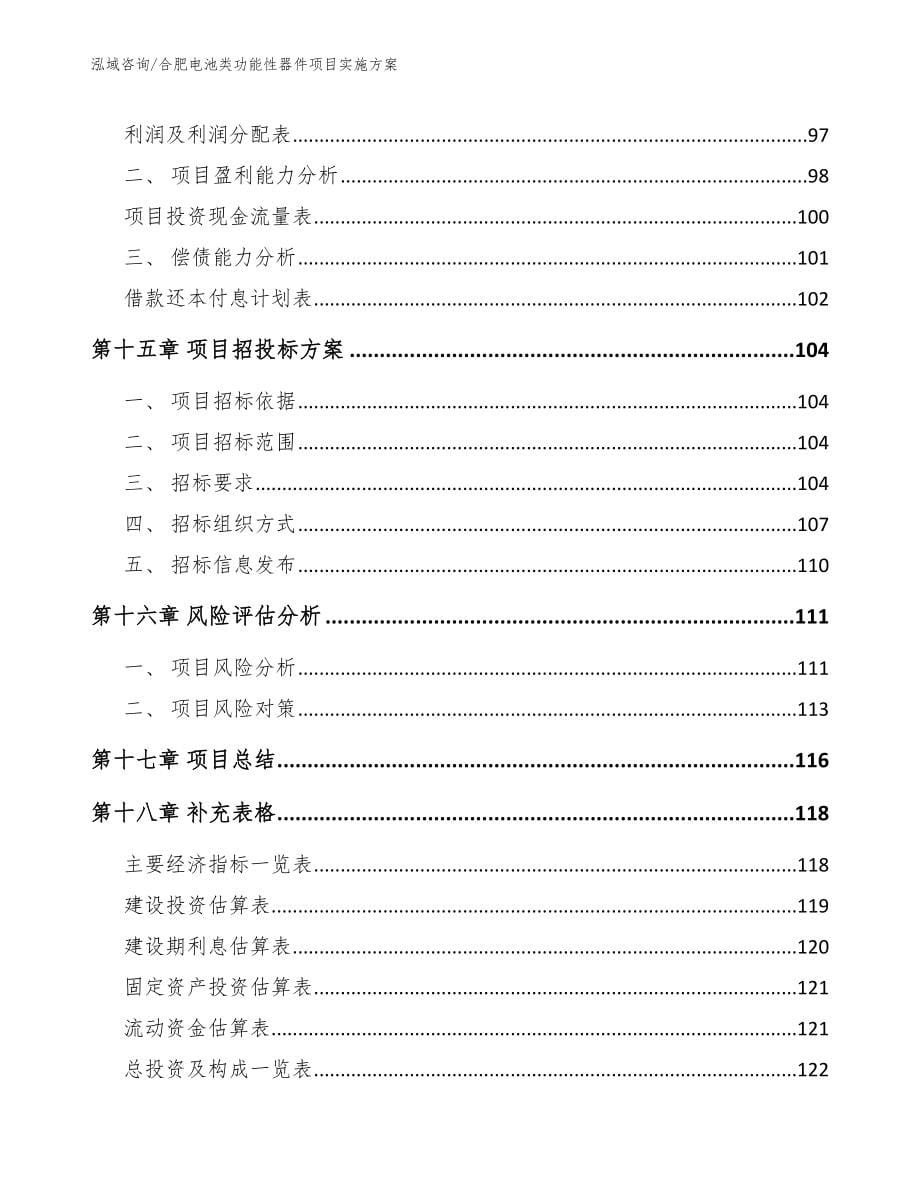 合肥电池类功能性器件项目实施方案（参考模板）_第5页