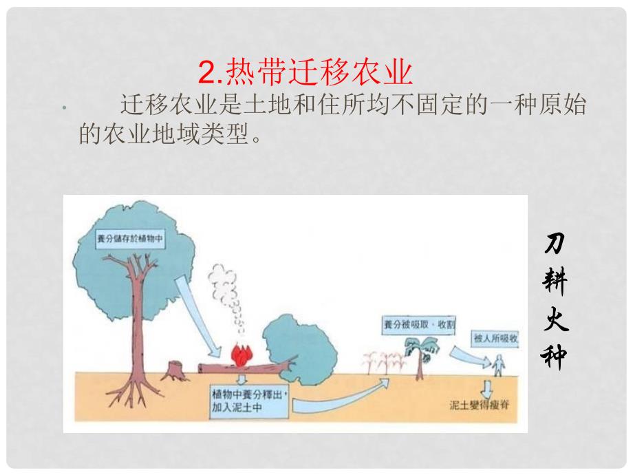 高中地理农业生产与地理环境 农业的地域类型1课件鲁教版必修二_第2页