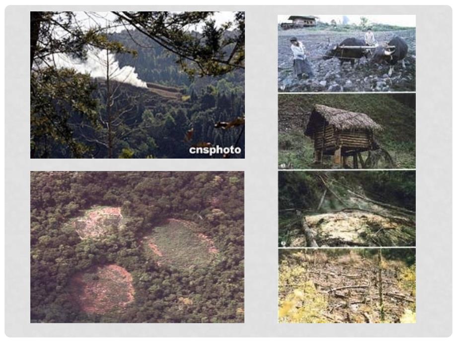 高中地理农业生产与地理环境 农业的地域类型1课件鲁教版必修二_第3页