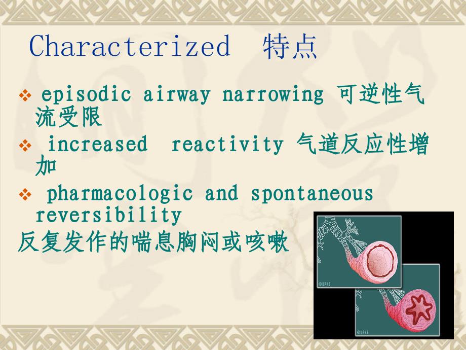 支气管哮喘的观察与..课件_第3页