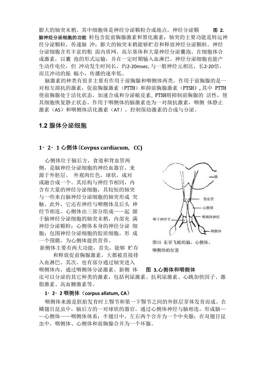 昆虫的内分泌腺和激素_第3页