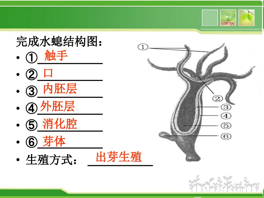 人教版8级上册生物期末复习_第3页