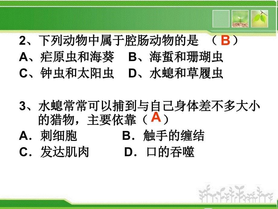 人教版8级上册生物期末复习_第5页