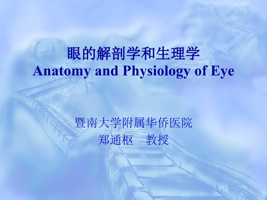 眼的解剖和生理_第1页