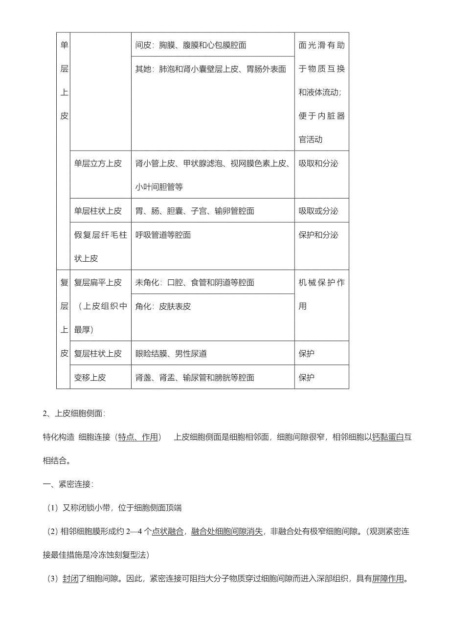 2022组织学与胚胎学重点归纳_第2页