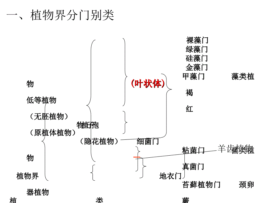 奥赛冲刺第3轮考点串讲植物系统学_第2页