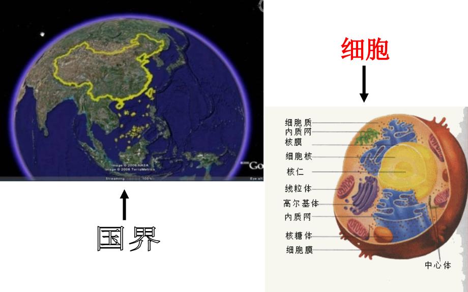 第一节细胞膜—系统的边界(正式)_第2页