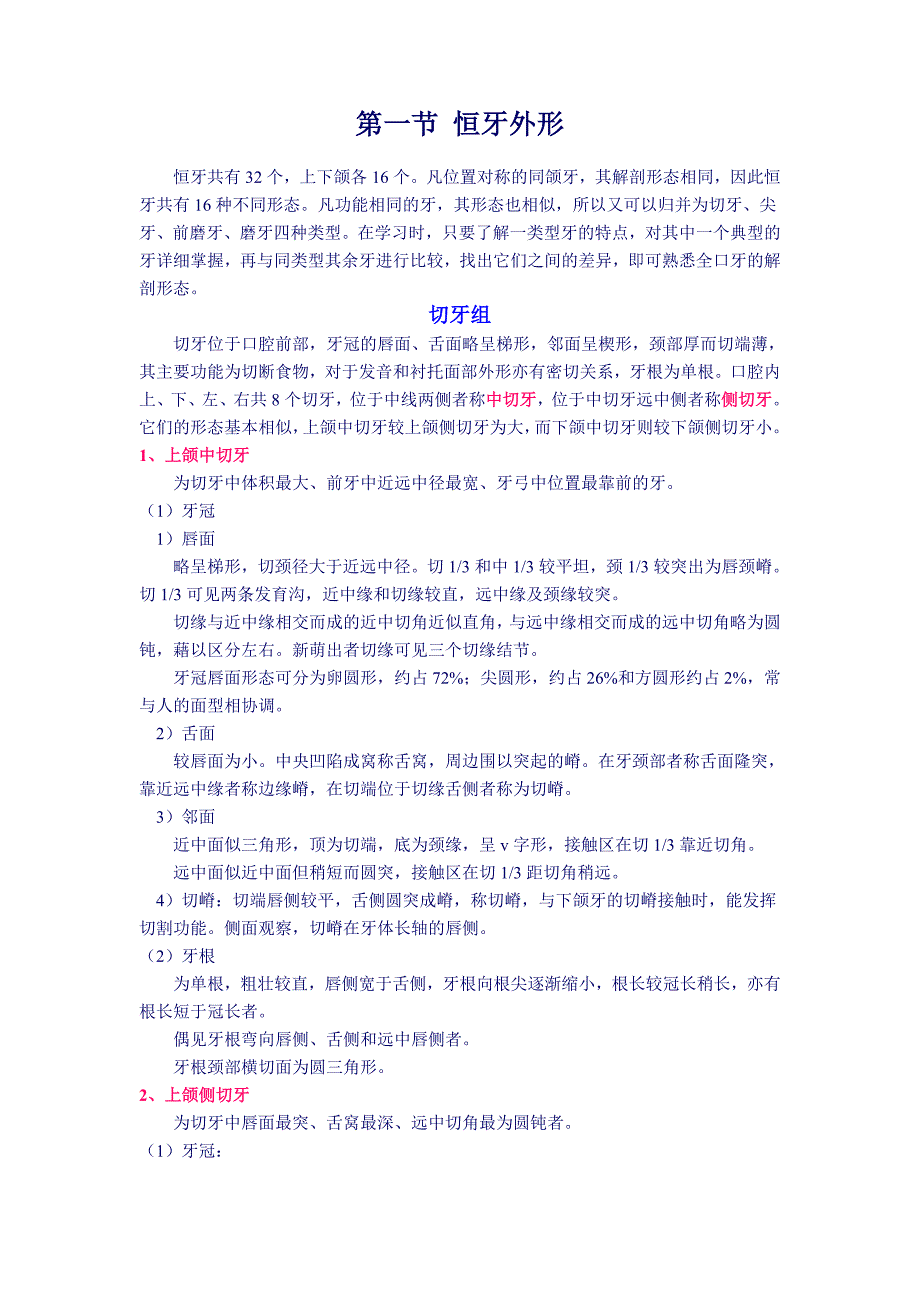 恒牙外形.doc_第1页