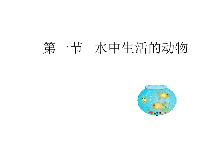 医学课件第一部分水中生活的动物_第1页