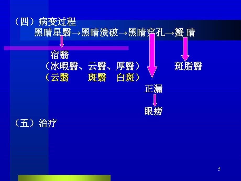 中医眼科学教学黑睛疾病ppt课件_第5页