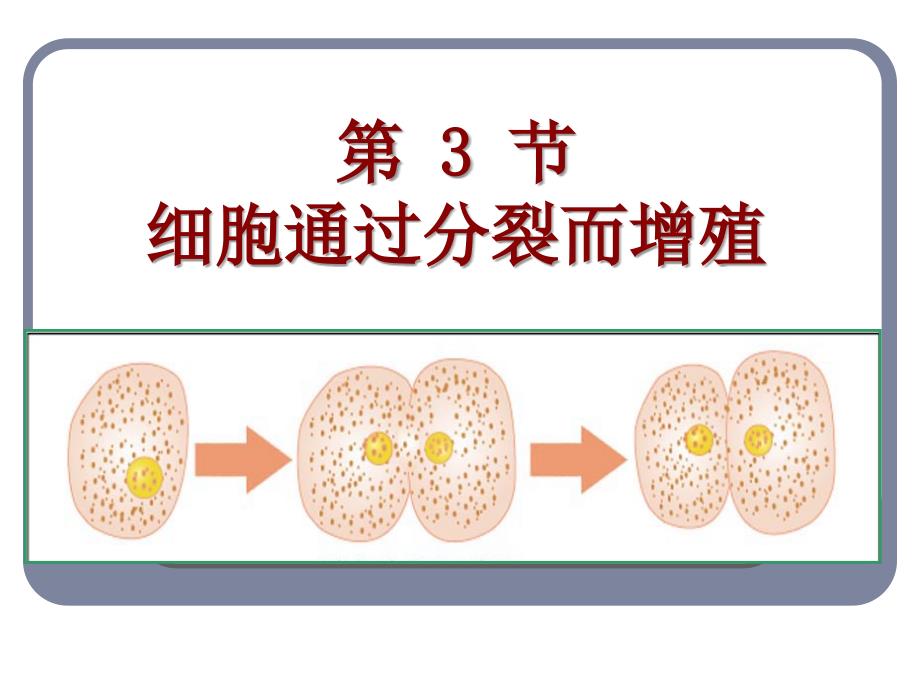 北师大版生物七上《细胞通过分裂而增殖》_第1页