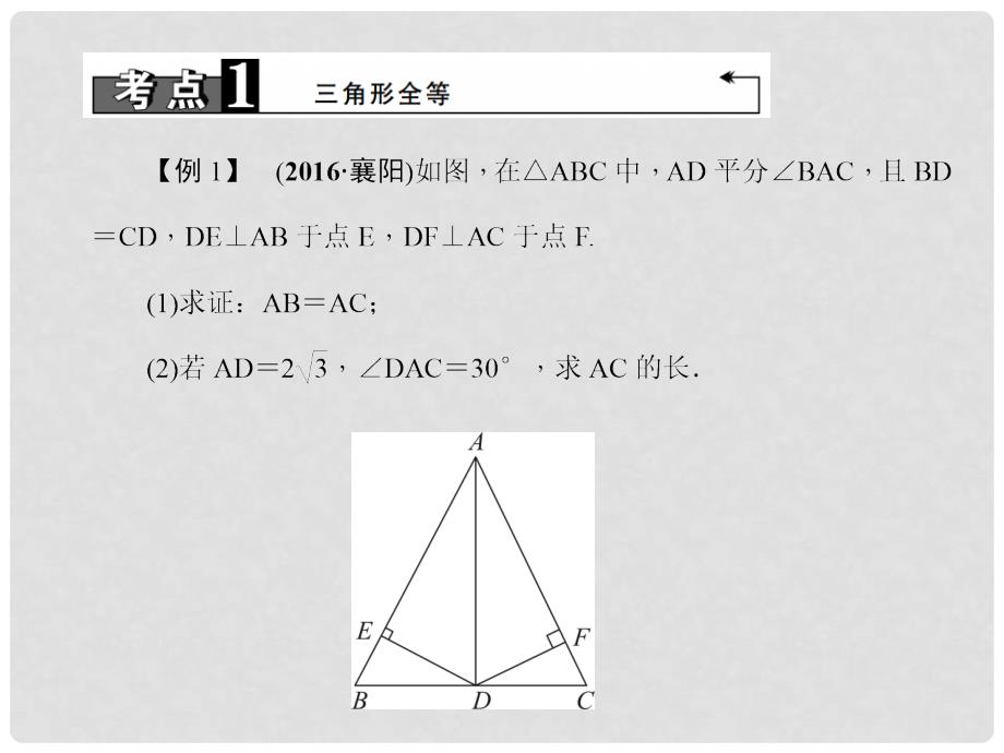 中考数学总复习 第二篇 专题聚焦 专题五 简单的全等、相似及特殊四边形课件_第3页