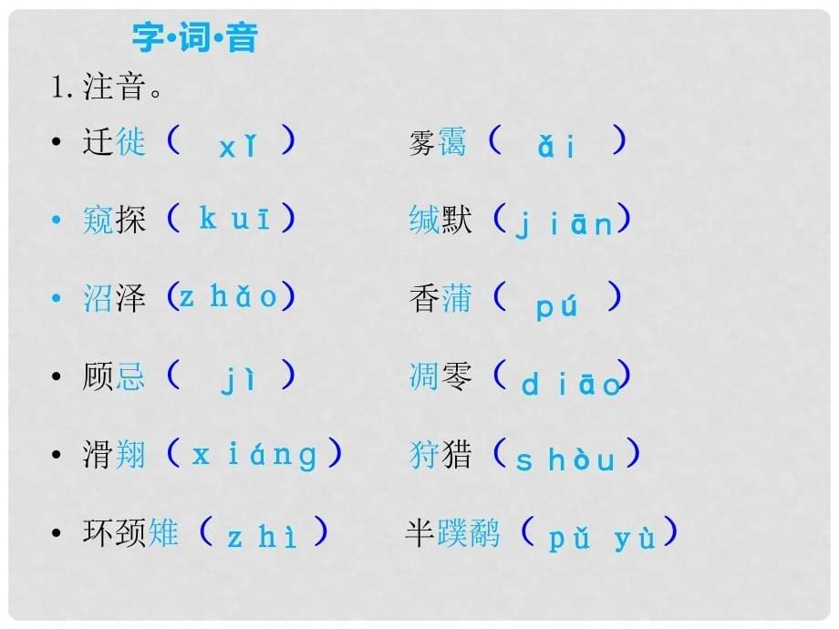 八年级语文下册 第三单元 14 大雁归来课件 （新版）新人教版_第5页