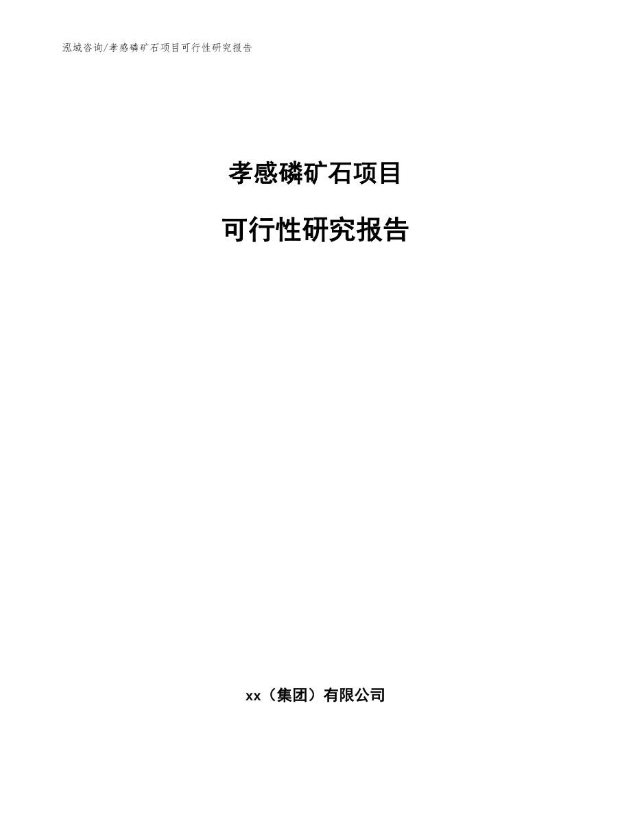 孝感磷矿石项目可行性研究报告_模板范文_第1页