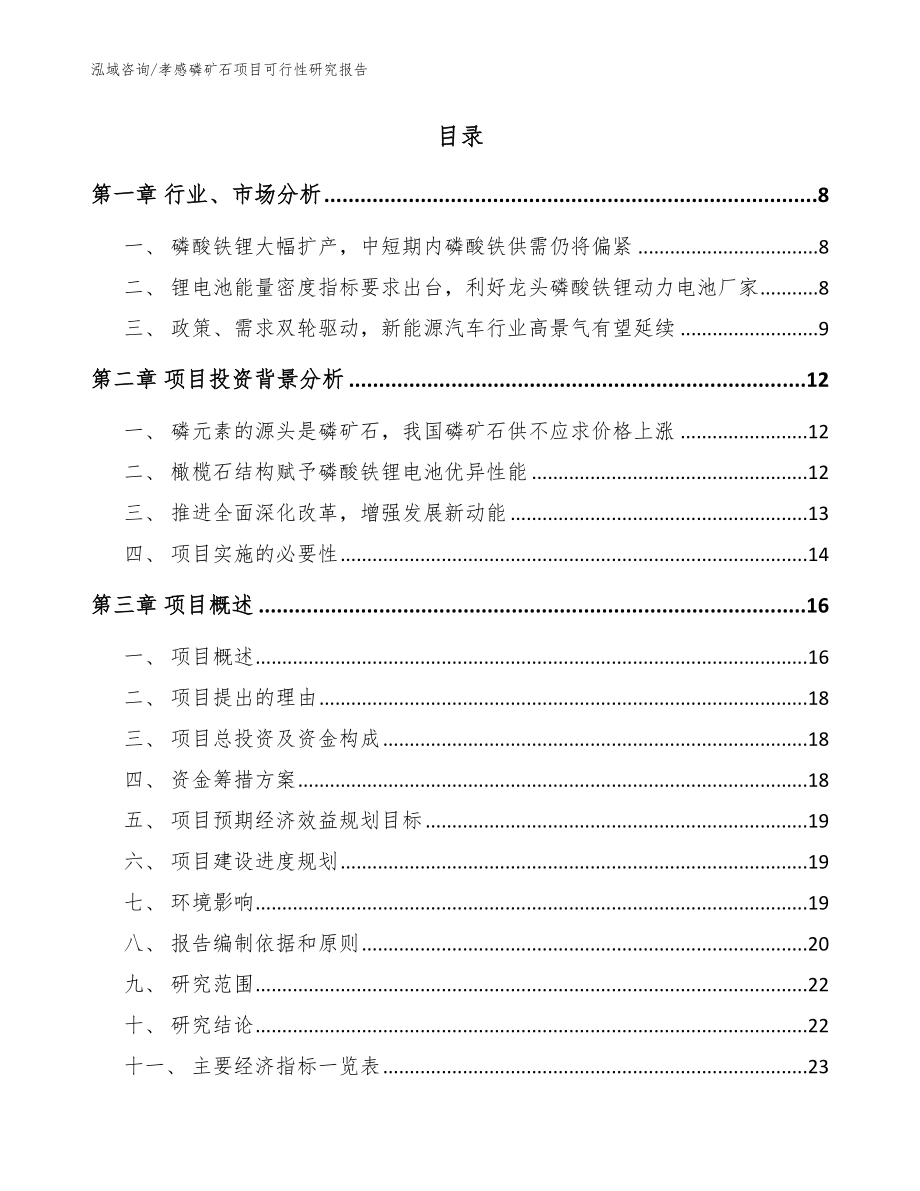 孝感磷矿石项目可行性研究报告_模板范文_第2页