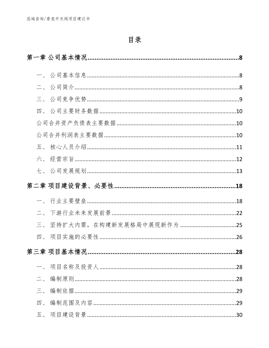 娄底开关阀项目建议书（范文参考）_第2页