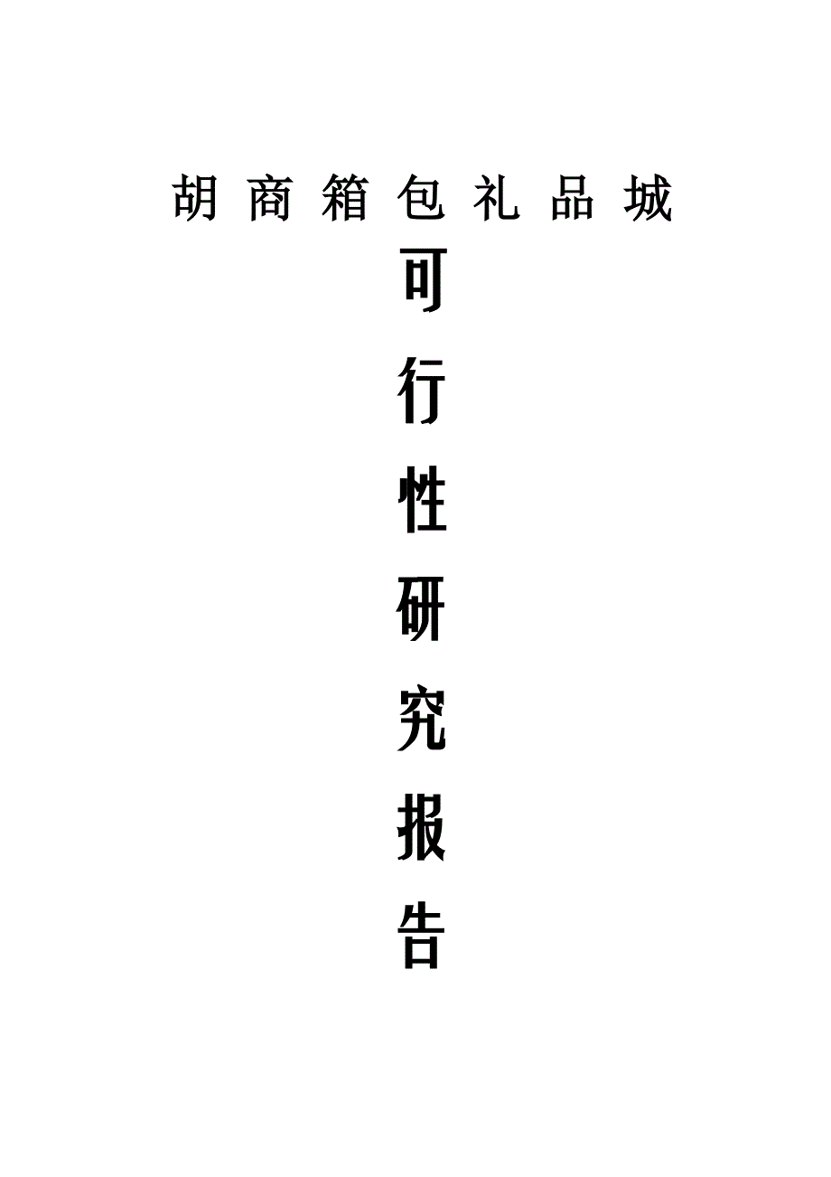 兴庆区胡商箱包礼品城可行性研究报告_第1页