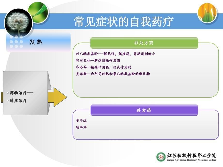 常见病症的自我药疗课件_第5页