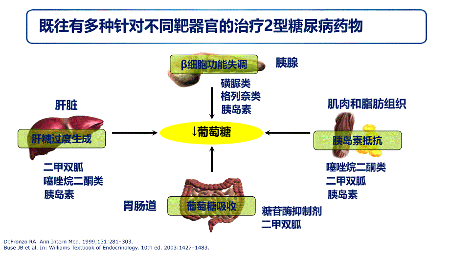 优质课件GLP1RA利拉鲁肽治疗2型糖尿病_第4页