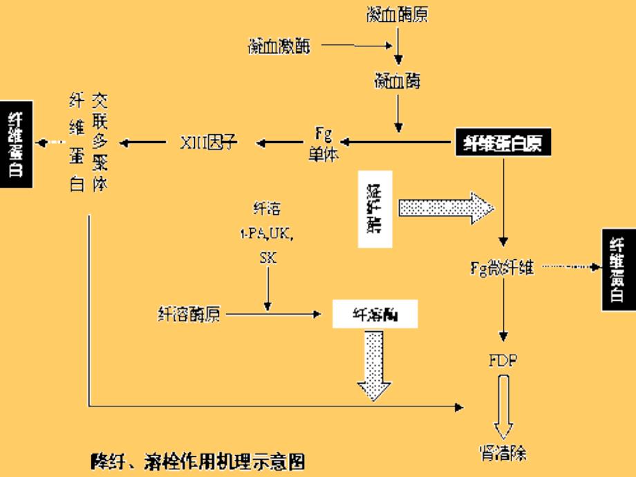 凝血功能检测_第4页