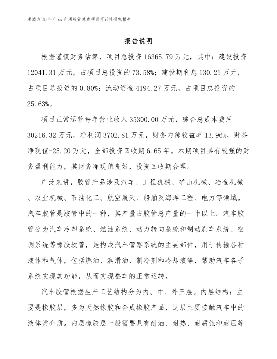 年产xx车用胶管总成项目可行性研究报告_第2页