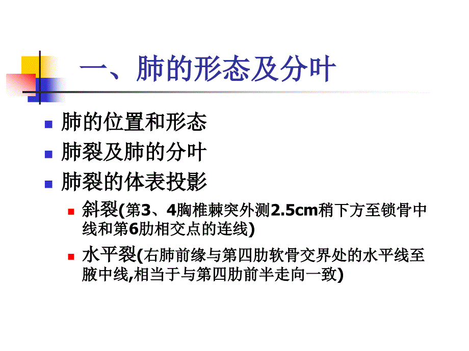 肺的断层影像解剖_第2页