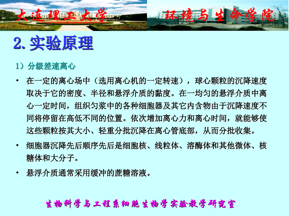 最新实验二线粒体与细胞核的制备与观察PPT文档_第2页