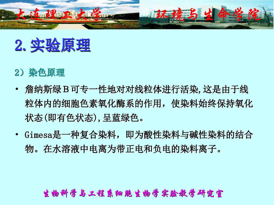 最新实验二线粒体与细胞核的制备与观察PPT文档_第3页