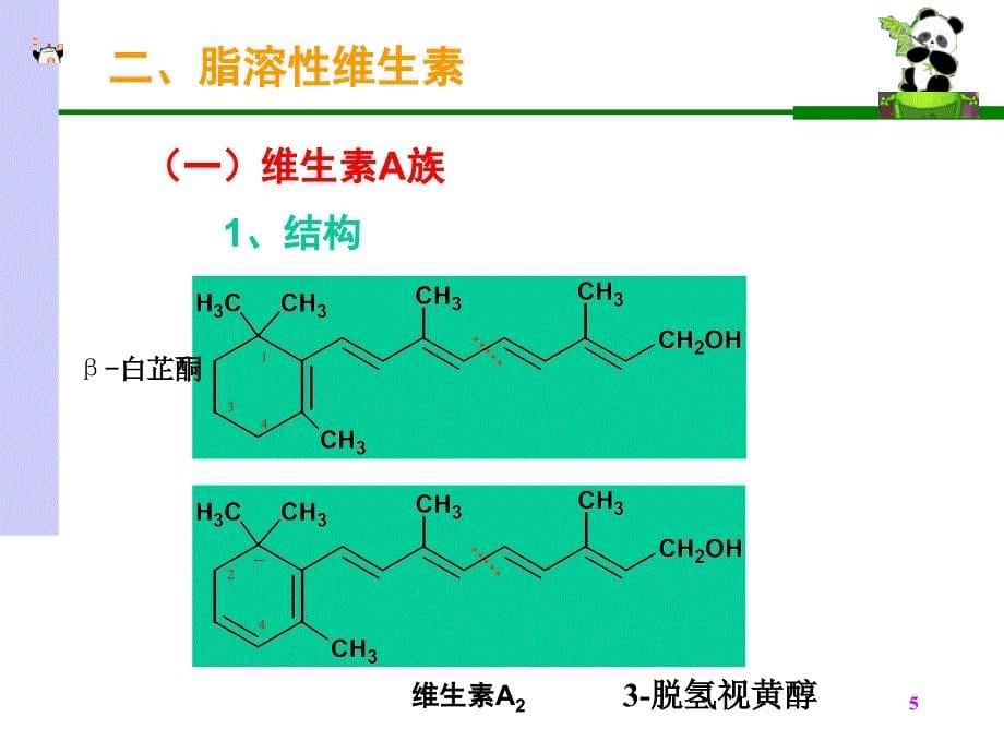 生物化学课件维生素ppt_第5页