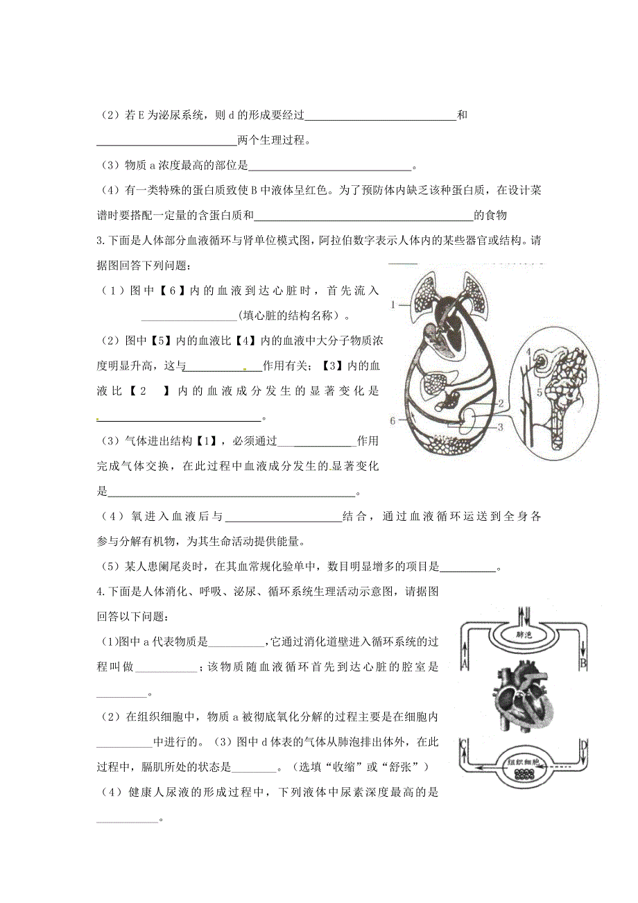 泌尿系统习题含答案_第2页