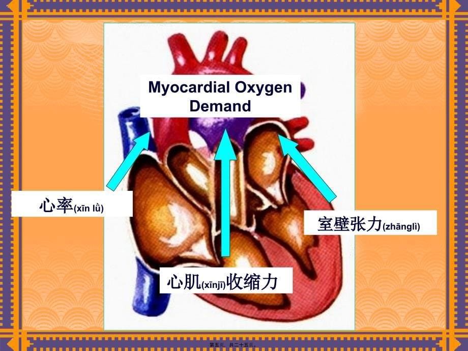 抗心绞痛药-1课件_第5页