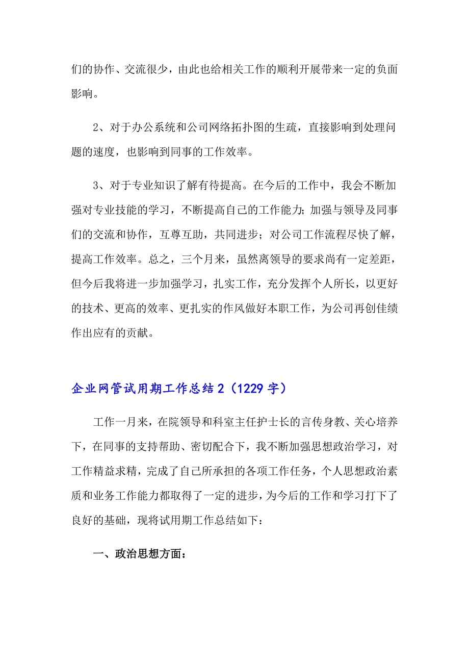 企业网管试用期工作总结4篇_第2页