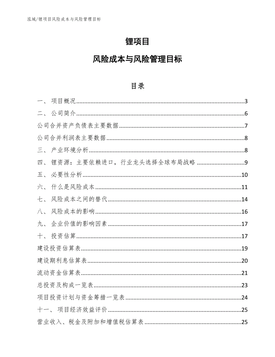 锂项目风险成本与风险管理目标_第1页