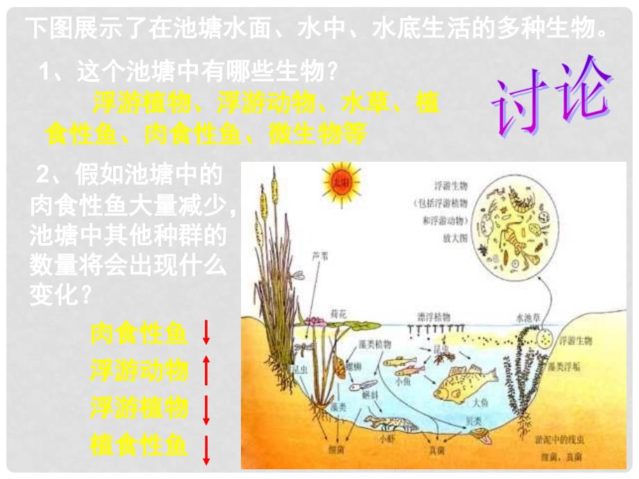 高中生物：4.3《种群和群落》课件（5）（新人教版必修3）_第2页