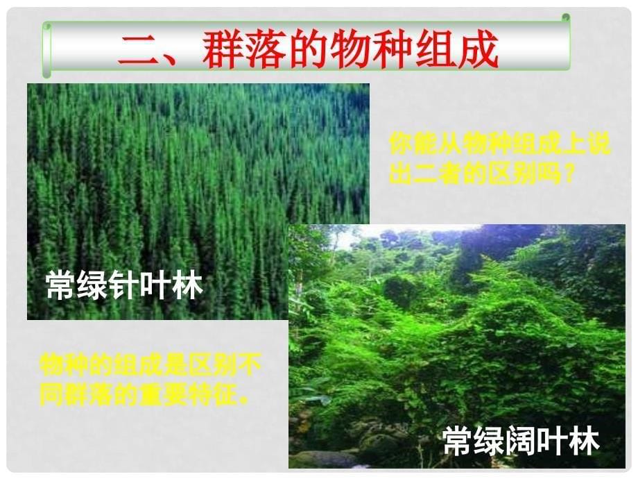 高中生物：4.3《种群和群落》课件（5）（新人教版必修3）_第5页